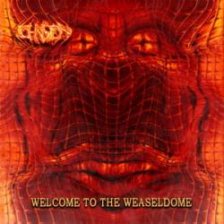 Welcome to the Weaseldome